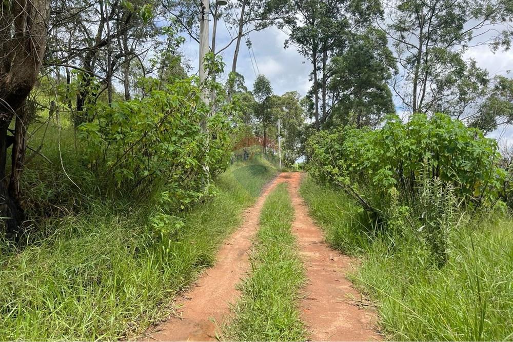 Terreno - Venda - Mairiporã , São Paulo - WhatsApp Image 2026-02-09 at 16.34.39 (3).jpeg - 631361077-14