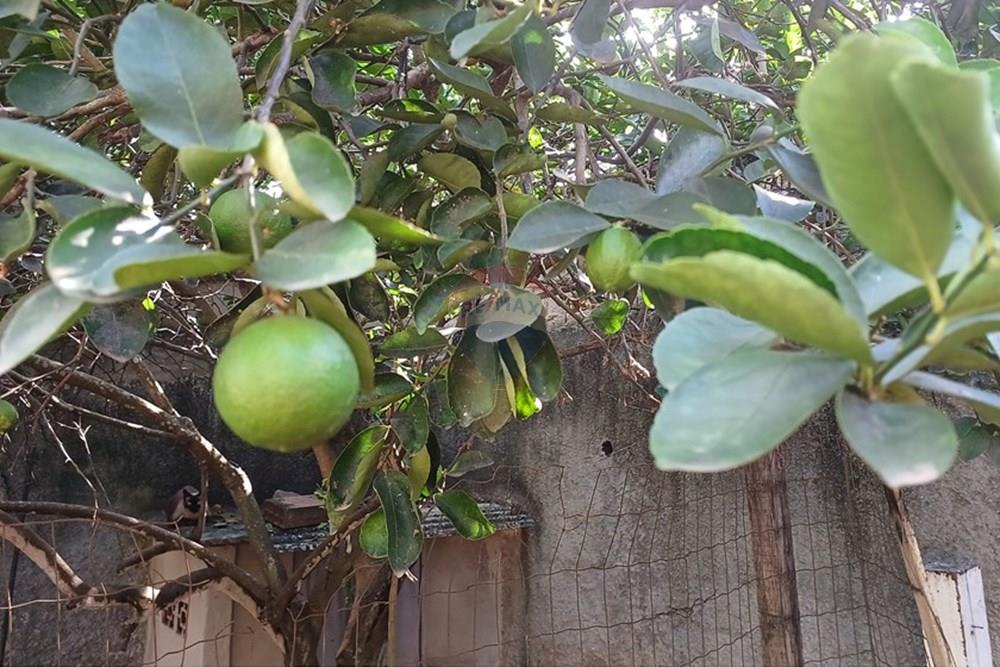 Casa - Venda - Maricá , Rio de Janeiro - 20250325_085942.jpg - Jardim Externo - 630121027-93