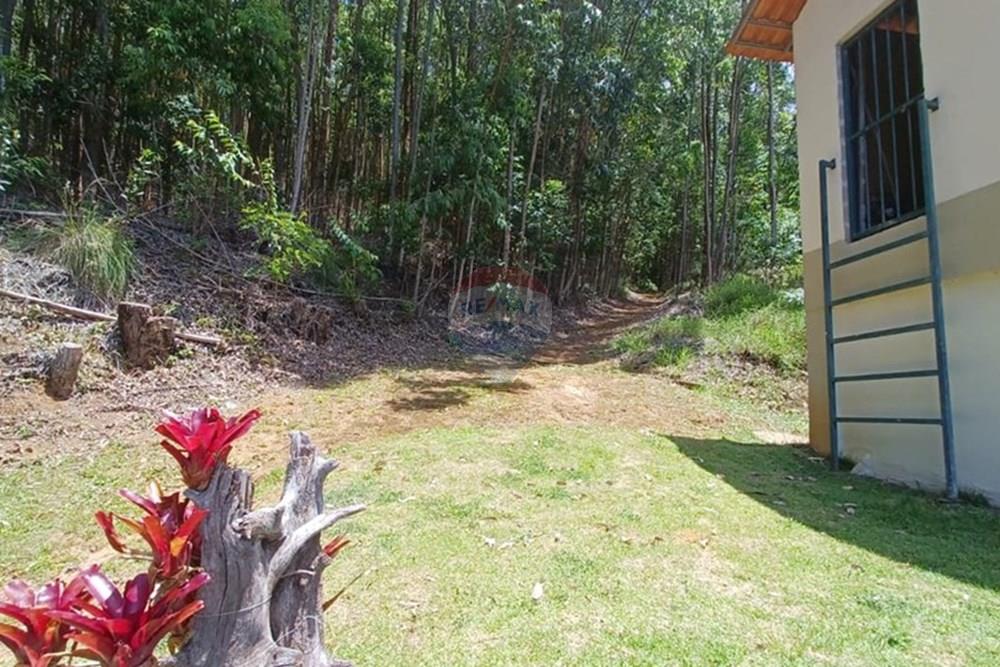 Apartamento - Venda - Nova Friburgo , Rio de Janeiro - trilha.jpg - 630551049-33