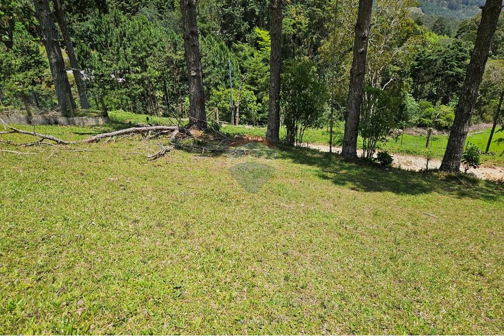 Terreno - Venda - Nova Friburgo , Rio de Janeiro - 20251111_103921.jpg - 630551024-83