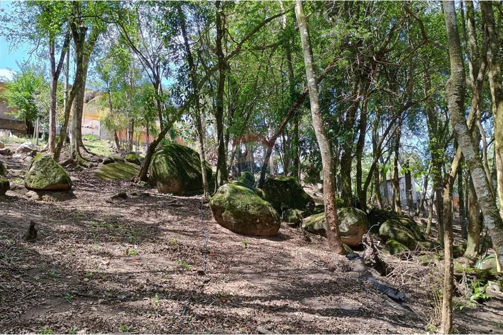 Chácara / Sítio / Fazenda - Venda - Ibiúna , São Paulo - WhatsApp Image 2025-10-26 at 08.04.31.jpeg - 631331032-6