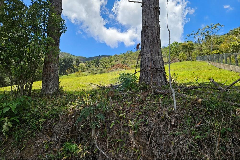 Terreno - Venda - Nova Friburgo , Rio de Janeiro - 20251111_103135.jpg - 630551024-83