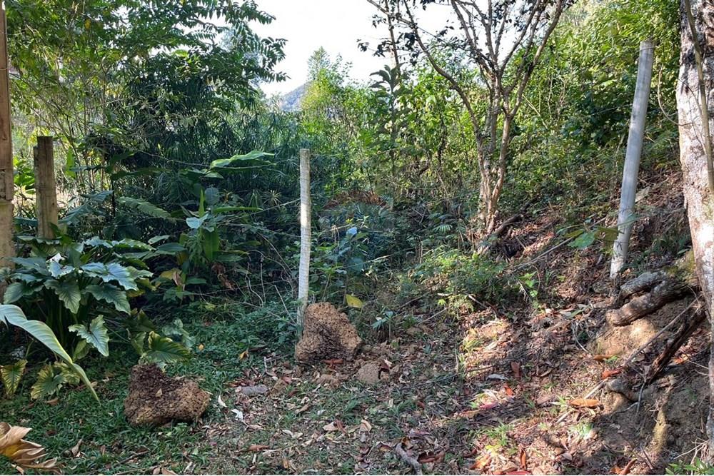 Terreno - Venda - Teresópolis , Rio de Janeiro - WhatsApp Image 2025-08-04 at 12.42.36.jpeg - 630191097-3
