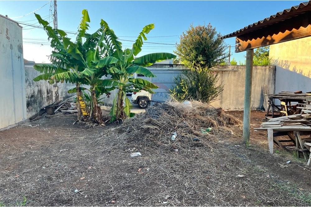 Terreno - Venda - Penápolis , São Paulo - WhatsApp Image 2025-09-23 at 19.12.47 (1).jpeg - 631191036-4