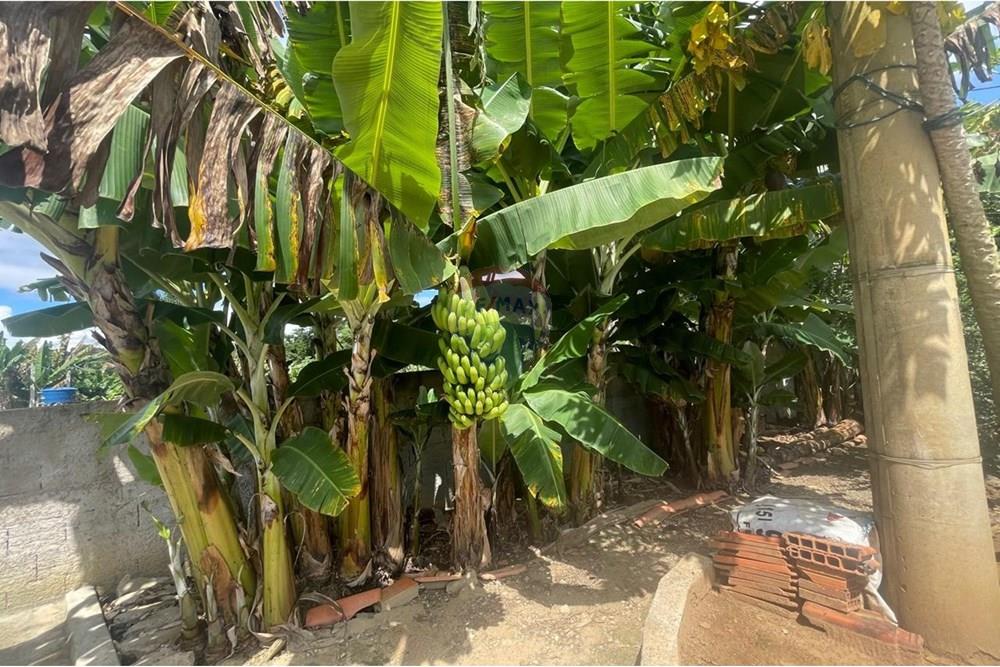 Chácara à venda com 3 quartos, 200m² - Foto 41