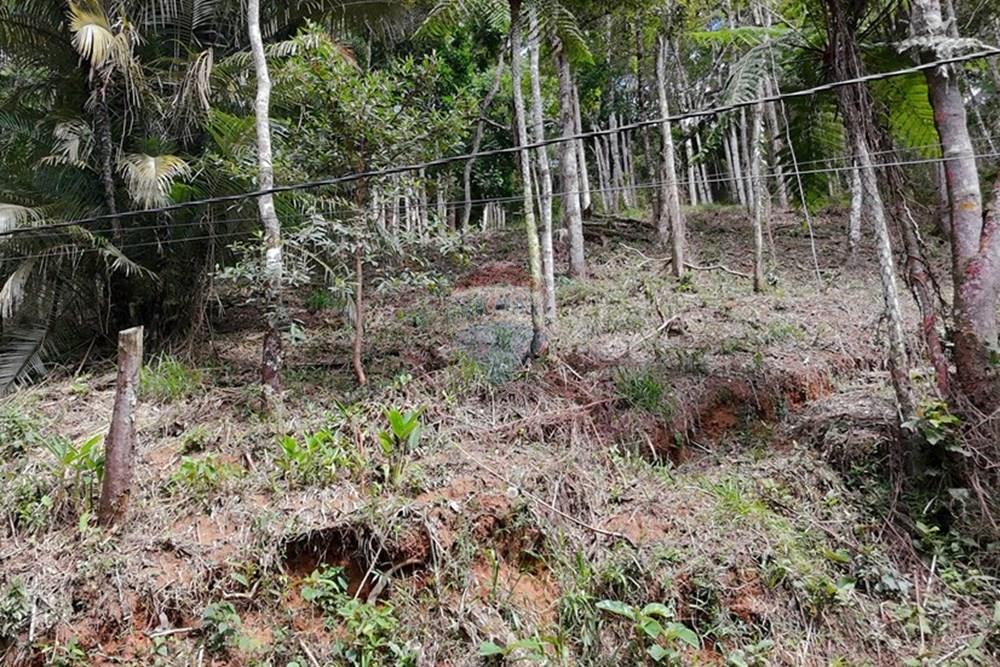 Terreno - Venda - Teresópolis , Rio de Janeiro - DJI_20251223091921_0237_D.JPG - 630191109-14