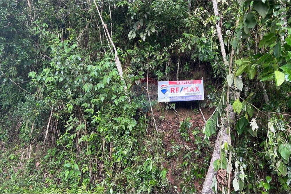 Terreno - Venda - Mairiporã , São Paulo - Imagem do WhatsApp de 2025-02-24 à(s) 15.43.28_557322dc.jpg - 631361005-102