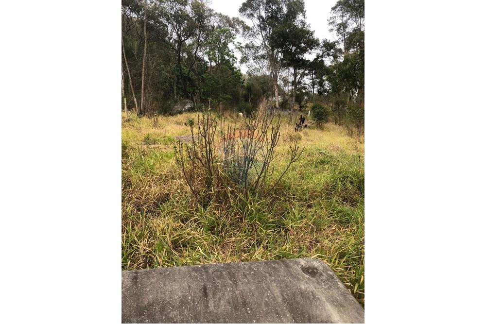 Terreno - Venda - Mairiporã , São Paulo - WhatsApp Image 2025-09-17 at 15.06.09.jpeg - 631361059-4