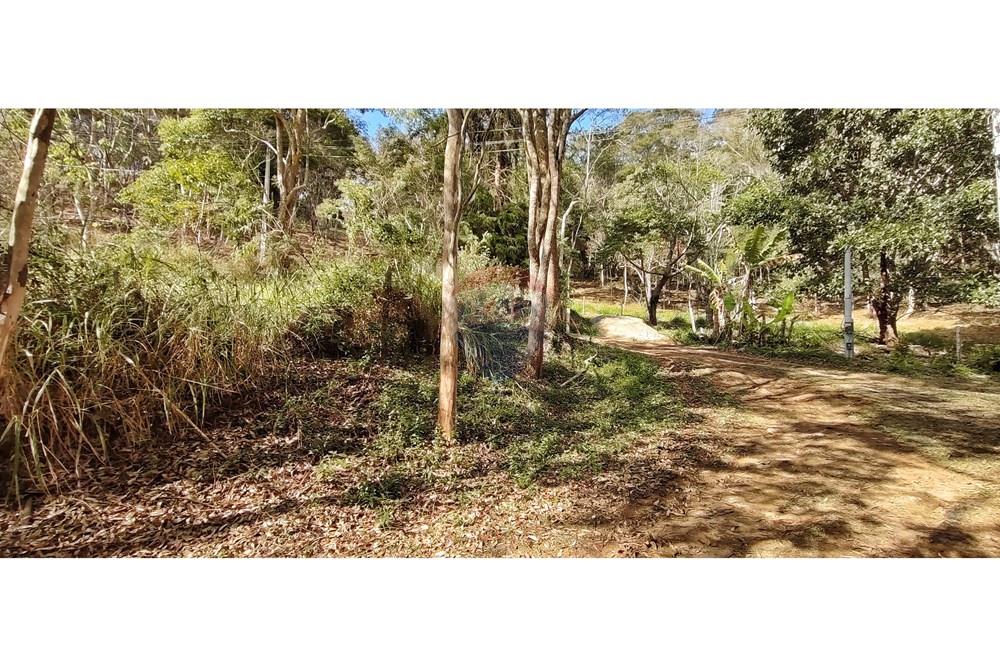 Terreno - Venda - Petrópolis , Rio de Janeiro - IMG_20250814_092509.jpg - 630131061-30