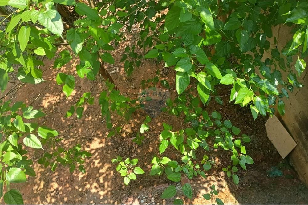 Casa - Venda - São Roque , São Paulo - WhatsApp Image 2025-10-06 at 16.03.43 (1).jpeg - 631601016-41