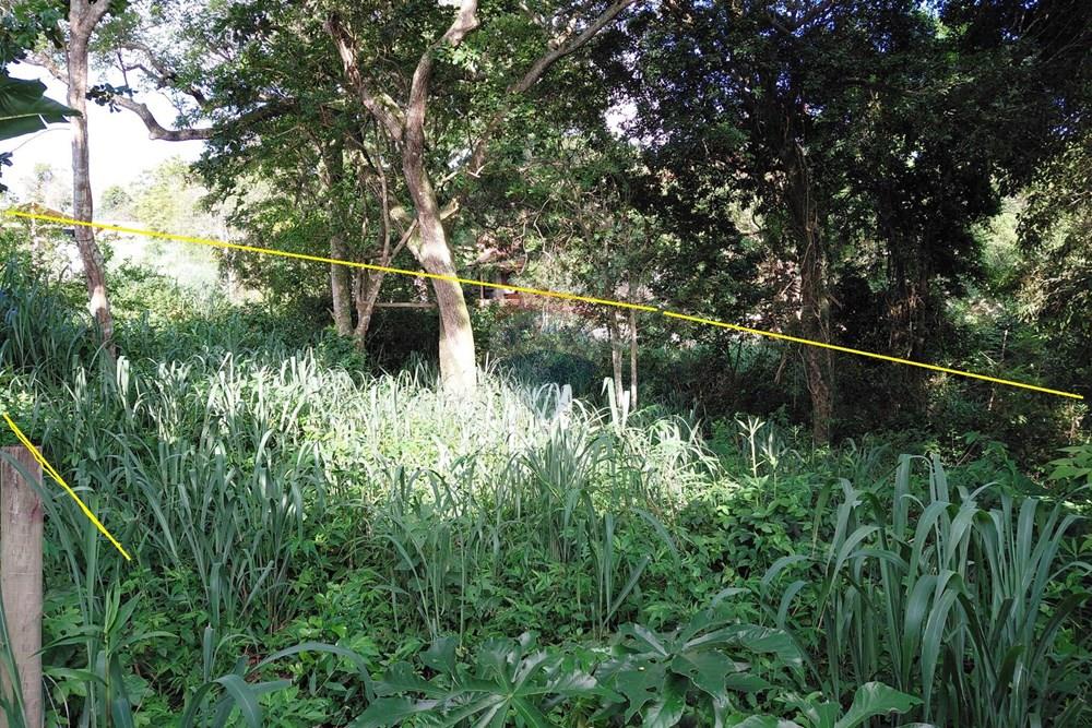 Terreno - Venda - Armação dos Búzios , Rio de Janeiro - 20260206_163808.jpg - 630391071-28