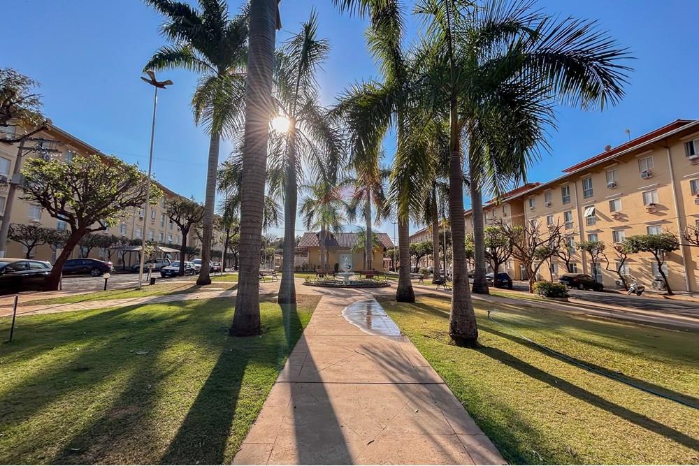 Apartamento - Venda - São José do Rio Preto , São Paulo - IMG_0031.jpg - 631321001-196