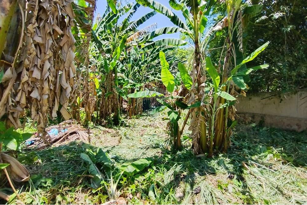 Terreno - Venda - Nova Iguaçu , Rio de Janeiro - WhatsApp Image 2025-12-29 at 16.27.44 (1).jpeg - 630291063-35