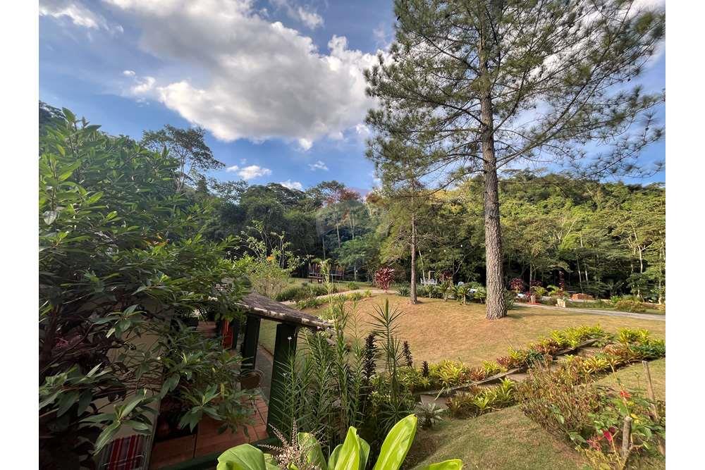 Chácara / Sítio / Fazenda - Venda - Miguel Pereira , Rio de Janeiro - IMG_2442.JPG - 631261002-81