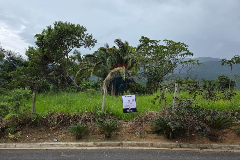 Terreno - Venda - Ilhabela , São Paulo - WhatsApp Image 2026-02-03 at 15.53.55.jpeg - 630951006-37