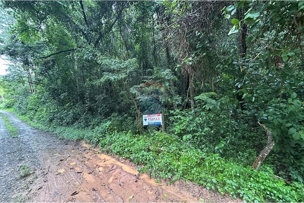 Terreno - Venda - Mairiporã , São Paulo - Imagem do WhatsApp de 2025-02-27 à(s) 16.38.13_37e4e77d.jpg - 631361005-108