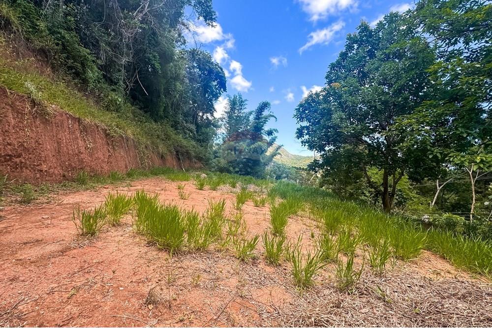 Terreno - Venda - Teresópolis , Rio de Janeiro - WhatsApp Image 2025-03-19 at 22.22.22 (2).jpeg - 630191021-109