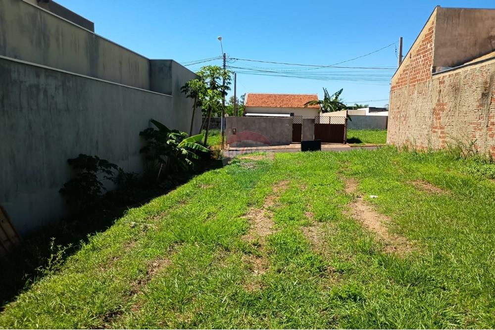 Terreno - Venda - Promissão , São Paulo - Imagem do WhatsApp de 2025-11-10 à(s) 14.35.33_1c959565.jpg - 631441020-91