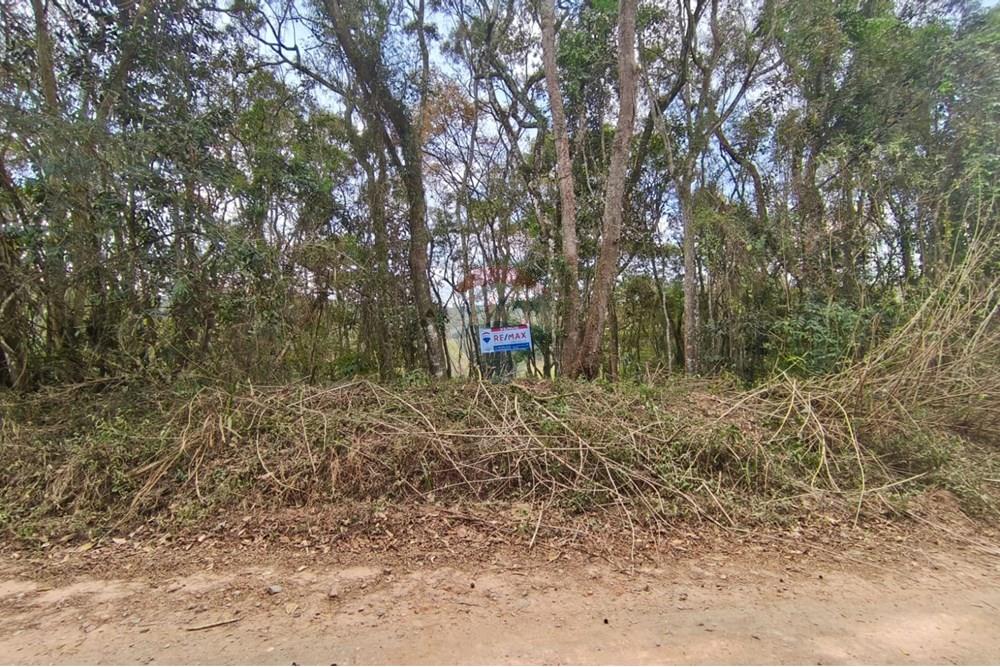 Terreno - Venda - Mairiporã , São Paulo - terreno mato dentro.jpg - 631361059-10