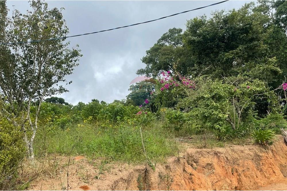Chácara à venda com 2 quartos, 15340m² - Foto 35