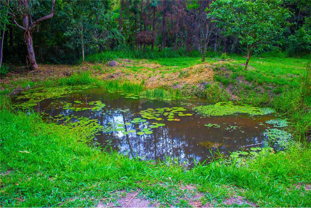 Chácara / Sítio / Fazenda - Venda - Iperó , São Paulo - TANQUE C/ PEIXES - 630591004-338