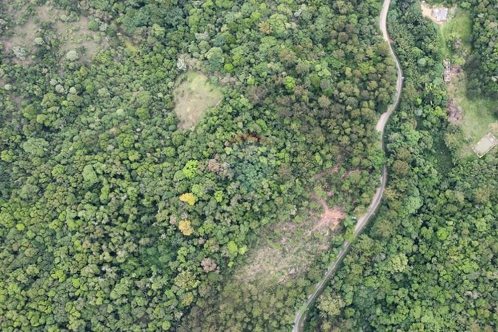 Terreno - Venda - Mairiporã , São Paulo - dji_fly_20251114_111254_820_1763130166645_photo_optimized.jpg - 631361005-166