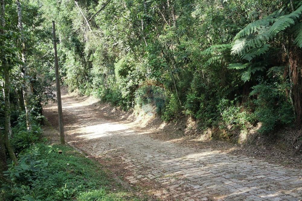 Terreno - Venda - Mairiporã , São Paulo - Rua 4 3.JPG - 631361041-55