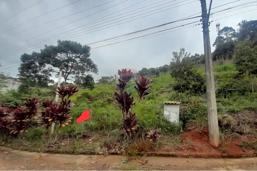 Terreno - Venda - Teresópolis , Rio de Janeiro - 4697b24d-d8da-4742-ac3b-6fc5a86c39a6.jpg - 630191084-11