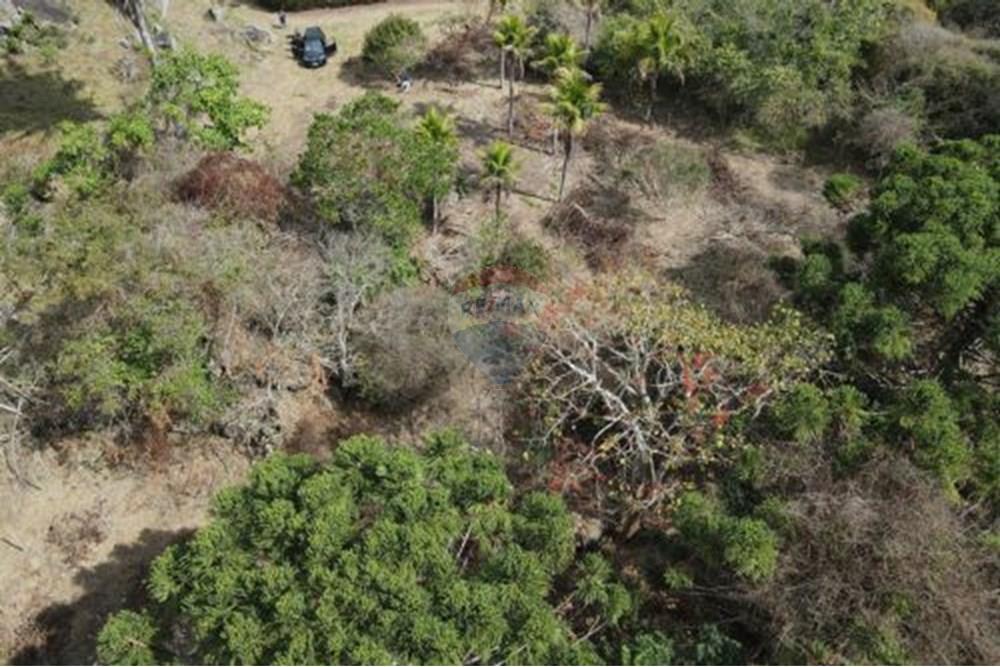 Terreno - Venda - Paraíba do Sul , Rio de Janeiro - 16.jpg - 631611011-3