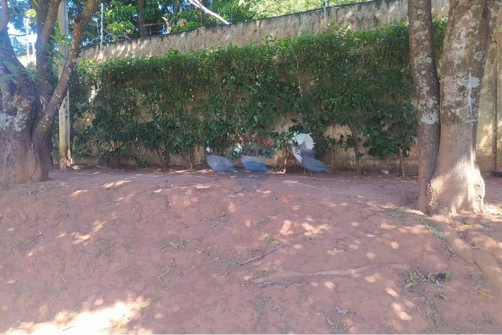 Casa - Alugar - Sorocaba , São Paulo - IMG-20250530-WA0019.jpg - 630601171-30