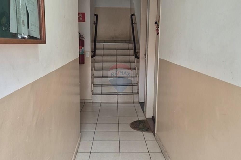 Apartamento - Alugar - Mogi das Cruzes , São Paulo - 20260102_120711.jpg - 631251019-44