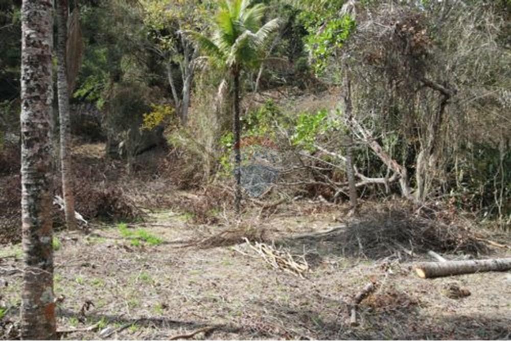 Terreno - Venda - Paraíba do Sul , Rio de Janeiro - 5.jpg - 631611011-3