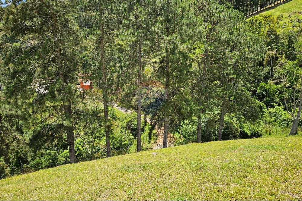 Terreno - Venda - Nova Friburgo , Rio de Janeiro - 20251111_104106.jpg - 630551024-83