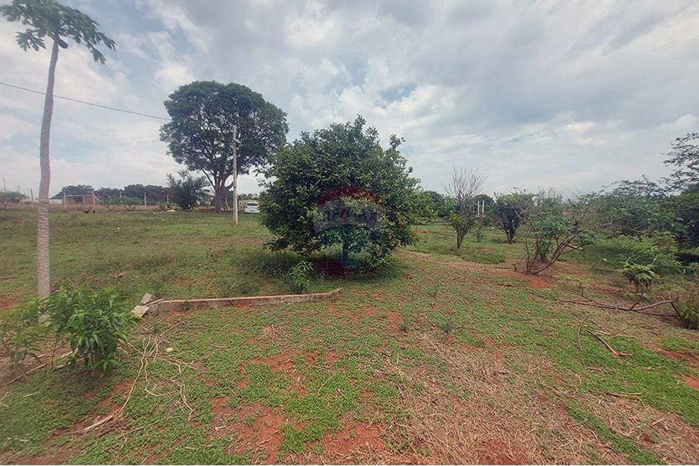 Chácara / Sítio / Fazenda - Venda - Taciba , São Paulo - Chacara Taciba (20).jpg - 630861066-19