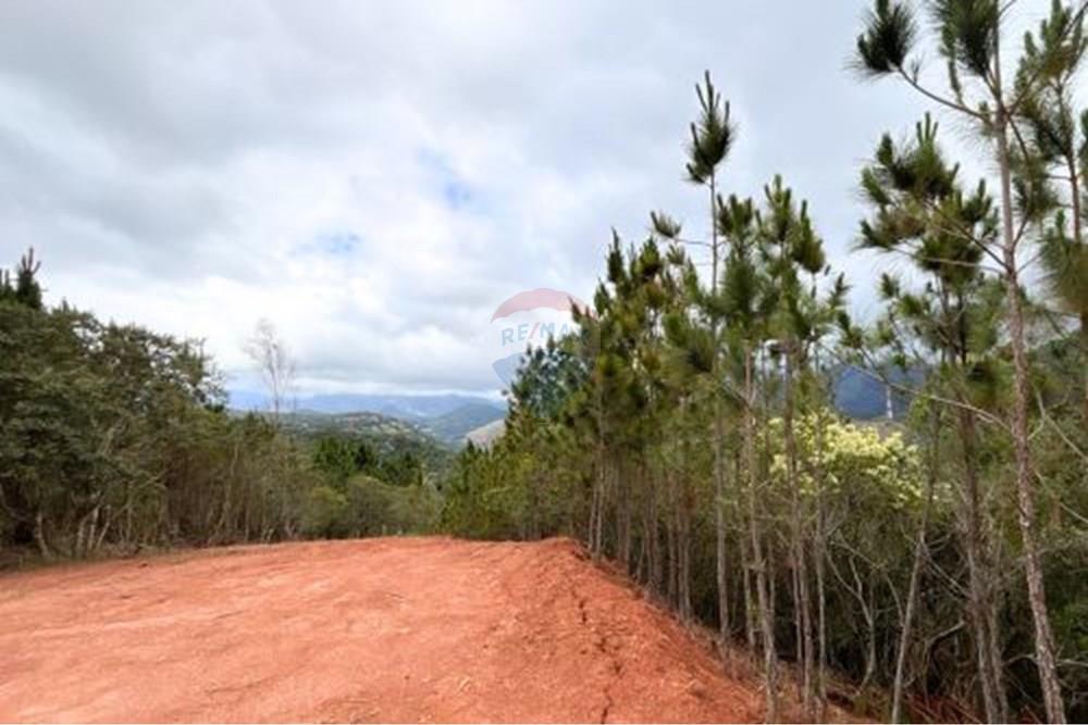 Terreno - Venda - Petrópolis , Rio de Janeiro - 18.jpg - 631611002-13