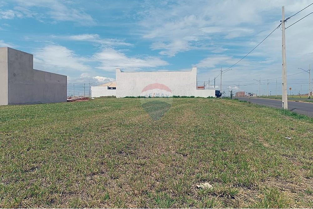 Terreno - Venda - Presidente Prudente , São Paulo - IMG_20251028_135618.jpg - 630861066-10