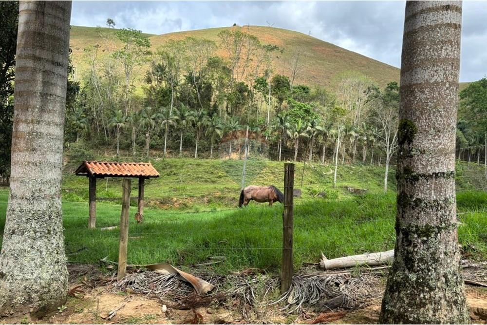 Chácara / Sítio / Fazenda - Venda - Bom Jardim , Rio de Janeiro - d2761d39-faf1-4f56-9a4b-043fa0752c9b.jpg - 630171006-65