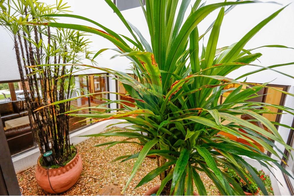 Casa de Condomínio - Alugar - Sorocaba , São Paulo - _MG_7399.jpg - 630601044-41