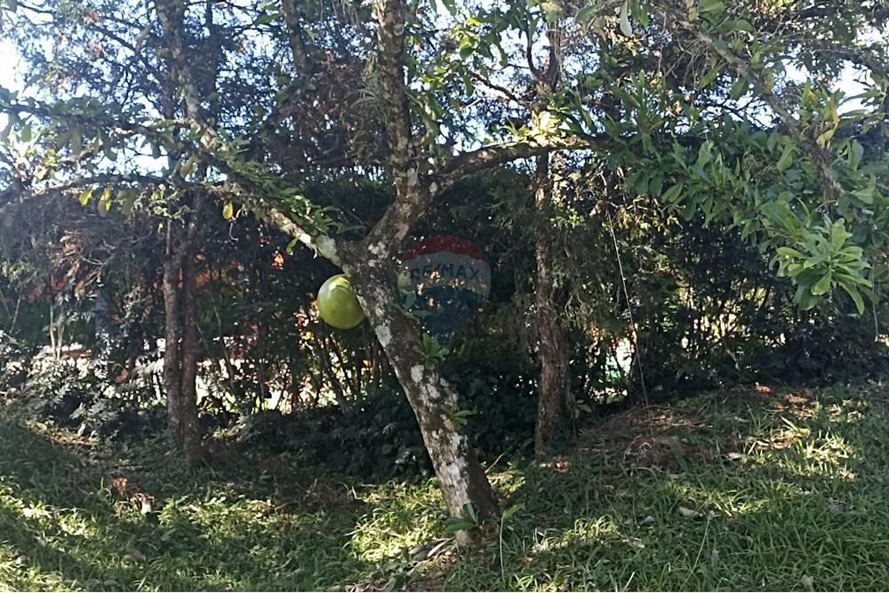 Casa de Condomínio - Venda - Santa Isabel , São Paulo - IMG-20250709-WA0096 - Copia.jpg - 631491001-235