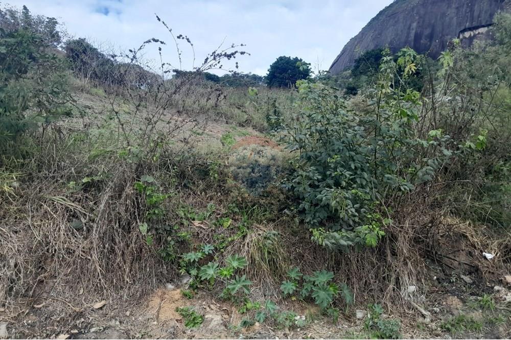 Terreno - Venda - Bom Jardim , Rio de Janeiro - WhatsApp Image 2025-07-12 at 11.28.44 (2).jpeg - 630171007-55
