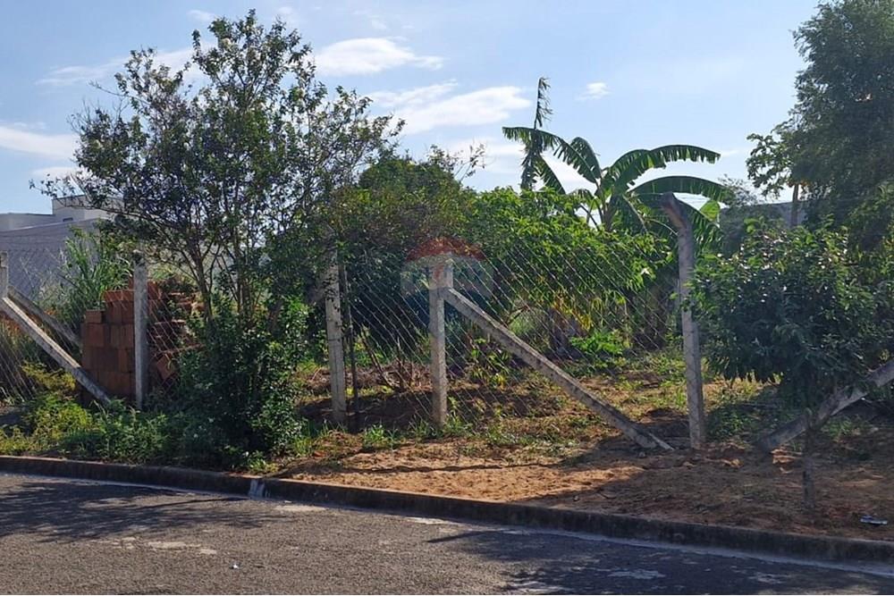 Terreno - Venda - Iacri , São Paulo - IMG-20250516-WA0019.jpg - 630151001-75