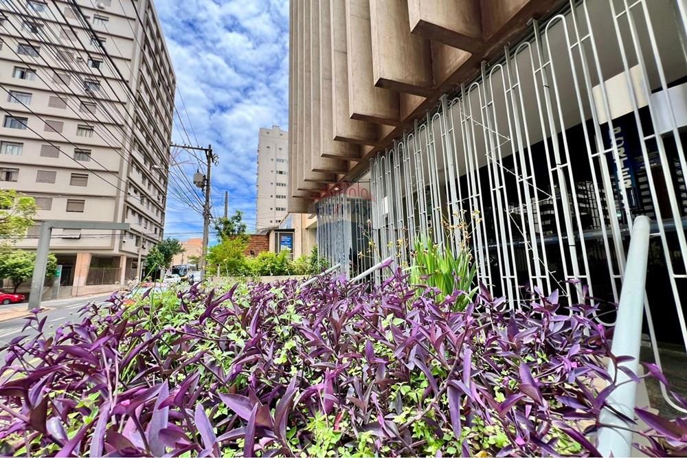 Apartamento - Venda - São José do Rio Preto , São Paulo - Apartamento a venda (1).jpeg - 631481001-44