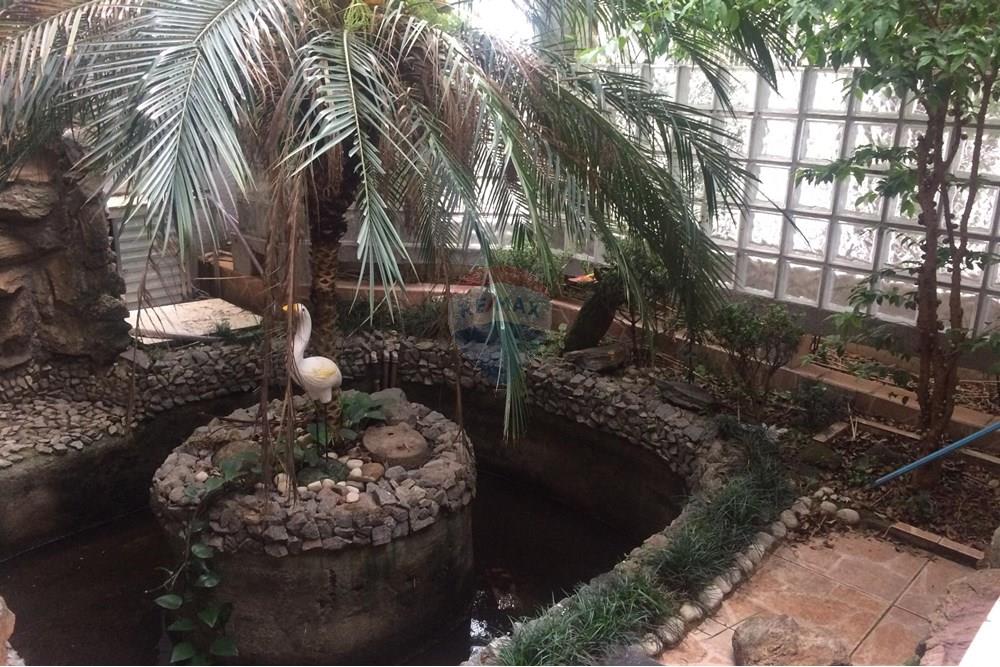 Casa - Alugar - Guarulhos , São Paulo - van1.jpg - 630251075-237