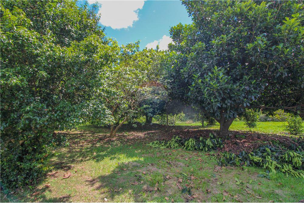 Casa de Condomínio - Venda - Araçoiaba da Serra , São Paulo - QUINTAL - 630591004-340