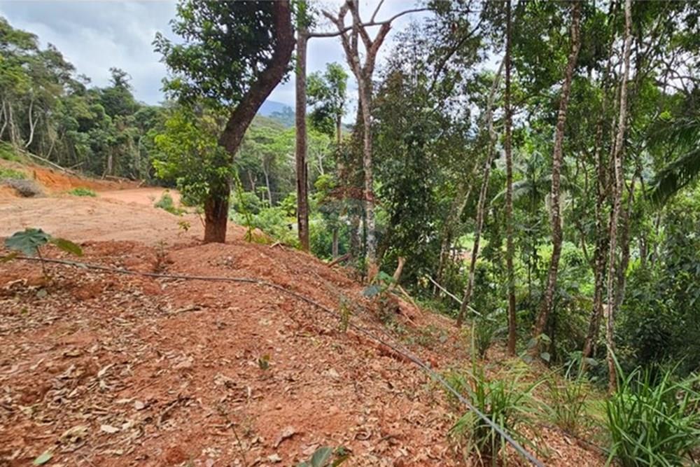 Terreno - Venda - Teresópolis , Rio de Janeiro - WhatsApp Image 2026-01-27 at 14.34.53 (4).jpeg - 630191101-10