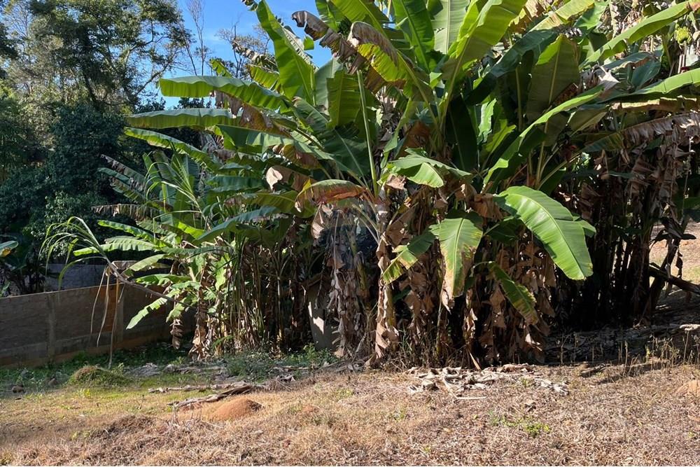 Terreno - Venda - Teresópolis , Rio de Janeiro - WhatsApp Image 2025-09-25 at 16.12.55.jpeg - 630191097-3