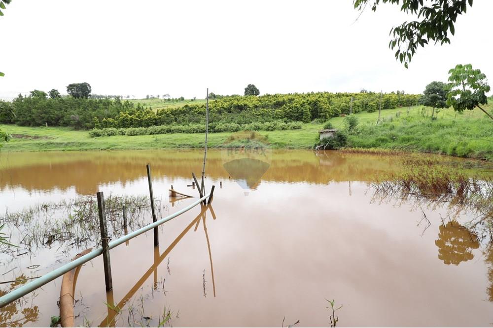 Chácara / Sítio / Fazenda - Venda - Atibaia , São Paulo - IMG_2601 (Custom).JPG - 631361005-173