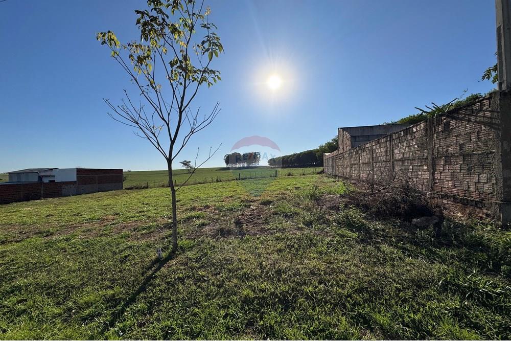 Terreno - Venda - Promissão , São Paulo - IMG-20250925-WA0277.jpg - Quintal - 631011035-24