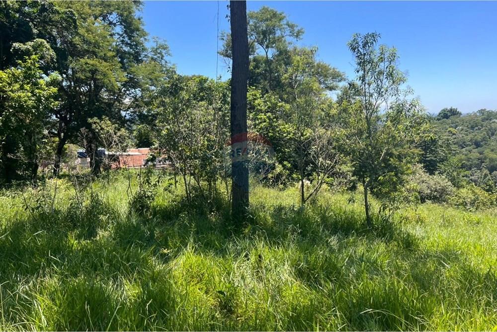 Terreno - Venda - Mogi das Cruzes , São Paulo - WhatsApp Image 2026-02-24 at 13.22.02.jpeg - 631251058-2