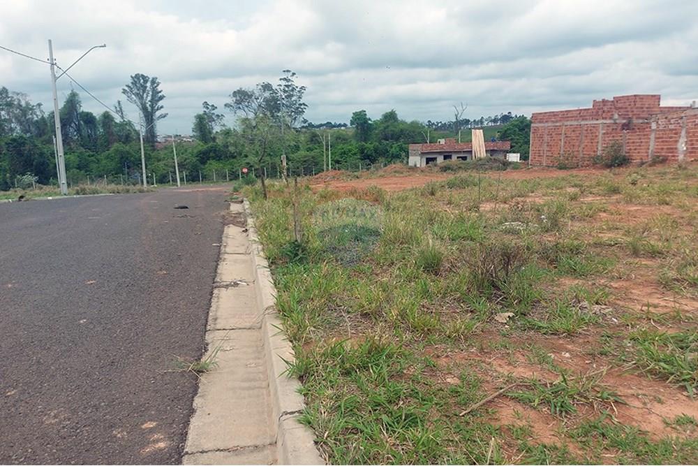 Terreno - Venda - Presidente Prudente , São Paulo - 20251027_131541.jpg - 630861066-12